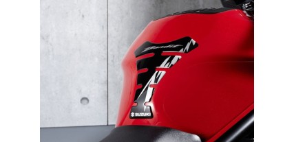 PROTECTOR DEL DEPOS. GSF650K