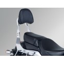 SOPORTE DE RESPALDO VZ800L0