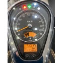 GSX S 1000