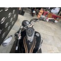 GSX S 1000