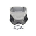 V-STROM650/DL650  FRONT TINTED SCREEN