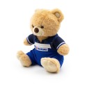 MOTOGP TEAM TEDDY