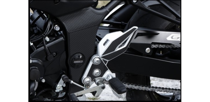PROTECTOR DE CHASIS GSR750