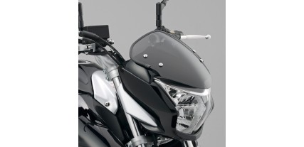 Sport Screen  by Suzuki GW250