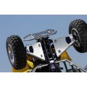 ARM GUARDS LT-R450